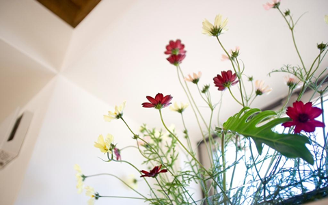 つながり 伊那市 せいろ蒸し料理と二次会等多目的スペースのカフェ 雨ことば